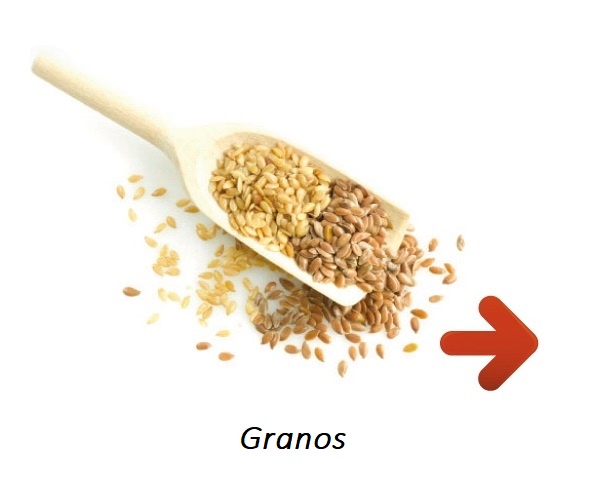 Principio_de_funcionamiento_de_CARBIAN 2_Granos